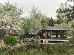 -宣武艺园