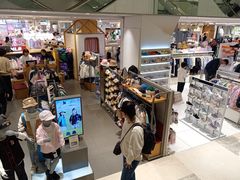 -乐天免税店(明洞店)