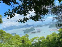 -花竹村