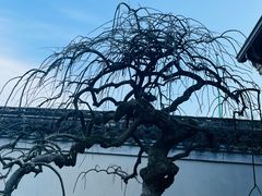 -宁波市保国寺古建筑博物馆