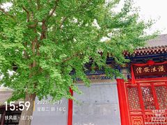 -法门文化景区