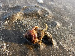 -台山黑沙湾海浴场