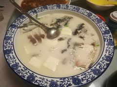 -全乐鱼馆·淳牌有机鱼直营店