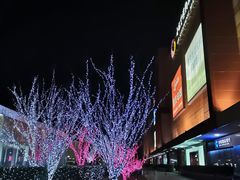 -燕莎友谊商城(金源店)