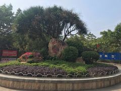 -滴水岩森林公园
