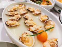 -喜鼎海胆水饺(平安金融中心店)