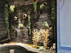 -一只烧鸡公(解放碑店)