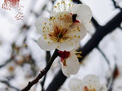 -长广溪湿地公园