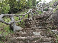 -梧桐山风景名胜区