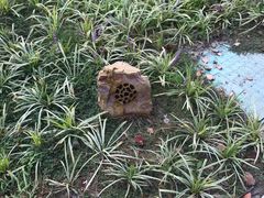 -昆山城市生态森林公园