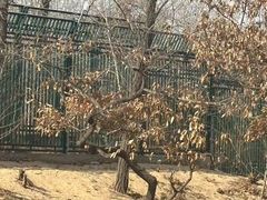 -秦皇岛野生动物园