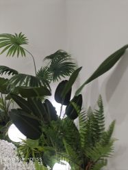 -HEYAN荷妍专业脱毛连锁机构