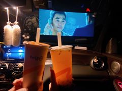 -枫花园汽车电影院(朝阳公园店)