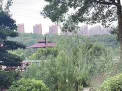 -耕渔小院·湖南鱼鲜(望城店)