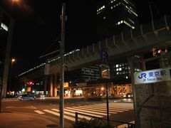 -台场海滨公园船码头