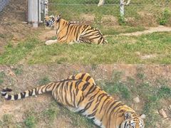 -石岛赤山风景区