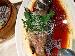 -益健美食大广场(北岭店)