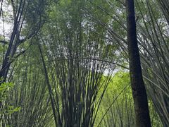-英西峰林·洞天仙境