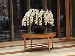 -视界美食自助餐厅·石家庄希尔顿酒店