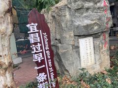 -胡记包子