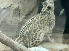 -青藏高原野生动物园