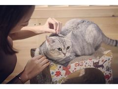 -小时光咖啡馆(开森度假森林店)