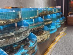 -蓝珊甄选海鲜自助·火锅大排档(近阿那亚店)