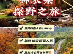 -神农架景区