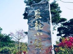 -聚龙小镇