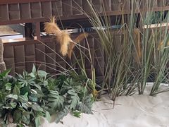 -江小渔鲜鱼火锅(西二道街店)