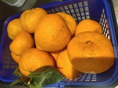 -重庆老船夫冷锅鱼(黄金路店)