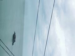 -阿军排档·烧烤