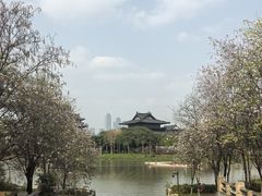 -海珠湖公园