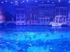 -华夏文旅海洋公园