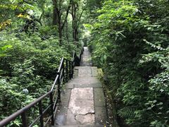 -白公馆
