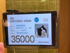 -帕帕拉兹宠物(亚洲旗舰店)