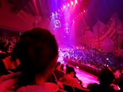 -珠海横琴长隆《卡卡虎奇遇记》