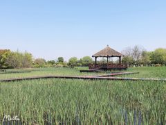 -梁鸿国家湿地公园