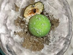 -南堂馆·新川菜(春熙路店)