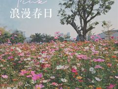 -香蜜公园