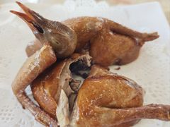 红烧乳鸽-新金盛·海鲜酒楼(盐田店)