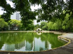-团结湖公园
