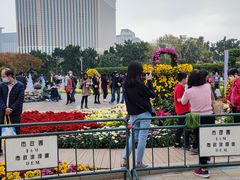 -龙环葡韵住宅式博物馆