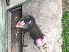 -西安秦岭野生动物园