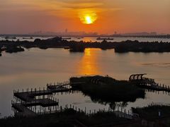 -芒洲湿地公园