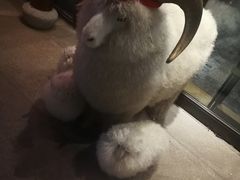 -羊肉街口老银川滩羊涮肉馆