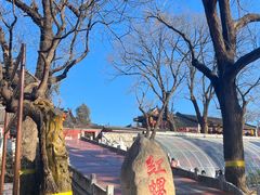 -红螺寺