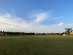 -春花秋色城市公园