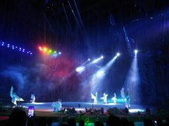 -灵玲国际马戏城