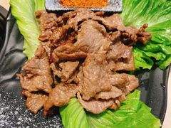 -蘑统田下·野生菌火锅